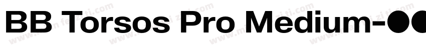 BB Torsos Pro Medium字体转换